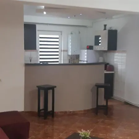 Apartament La Malul Marii Negre * ナボダリ