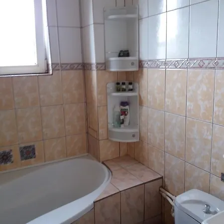 アパート Apartament La Malul Marii Negre ナボダリ