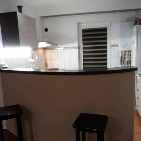 アパート Apartament La Malul Marii Negre ナボダリ